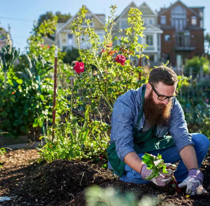 Gardening Estimate